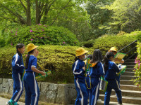 DSCN0733