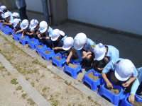 DSCN3010
