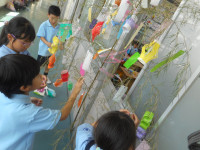 DSCN3981