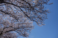 DSC04907
