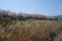 DSC04902