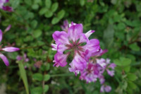 DSC04925