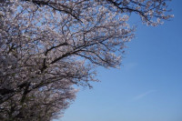DSC04908