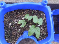 ①DSCF1188