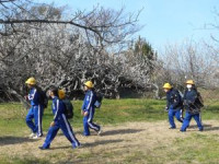 debb44e1-0b79-468e-b269-d8d78d4bbfcb