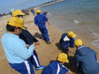 b503d6f8-ce73-47bf-9052-f6d38f090b6a